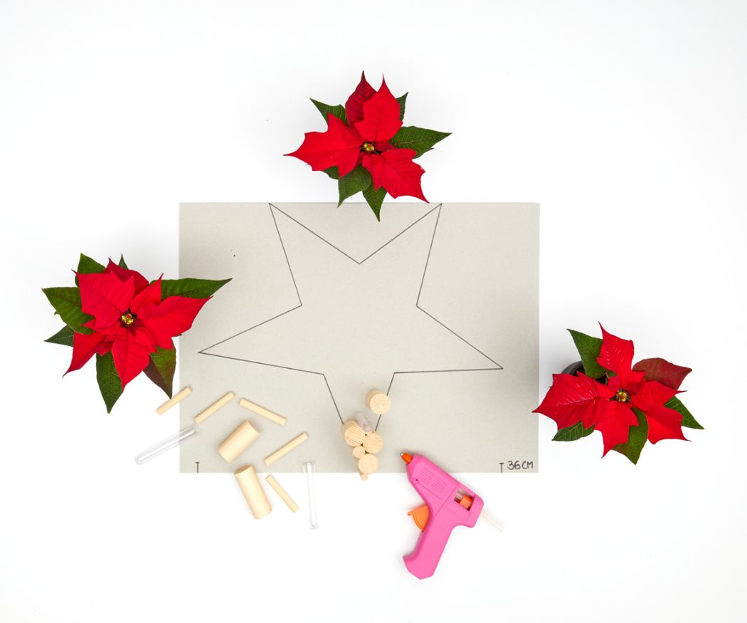 2022-poinsettia-02120-diy-wooden-star-for-advent-03