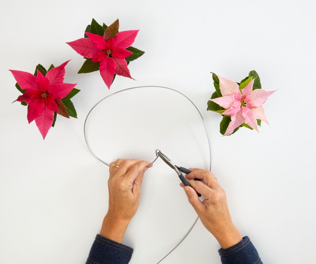 2022-poinsettia-04130-diy-floating-wire-christmas-tree-